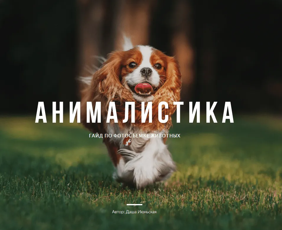 Изображение курса
