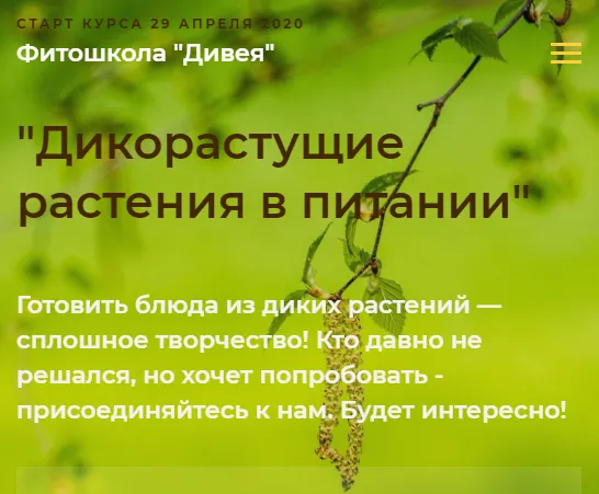 Изображение курса