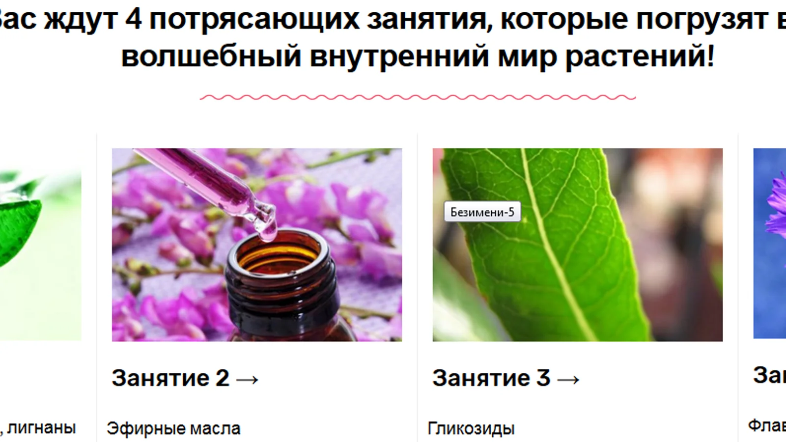 Изображение курса