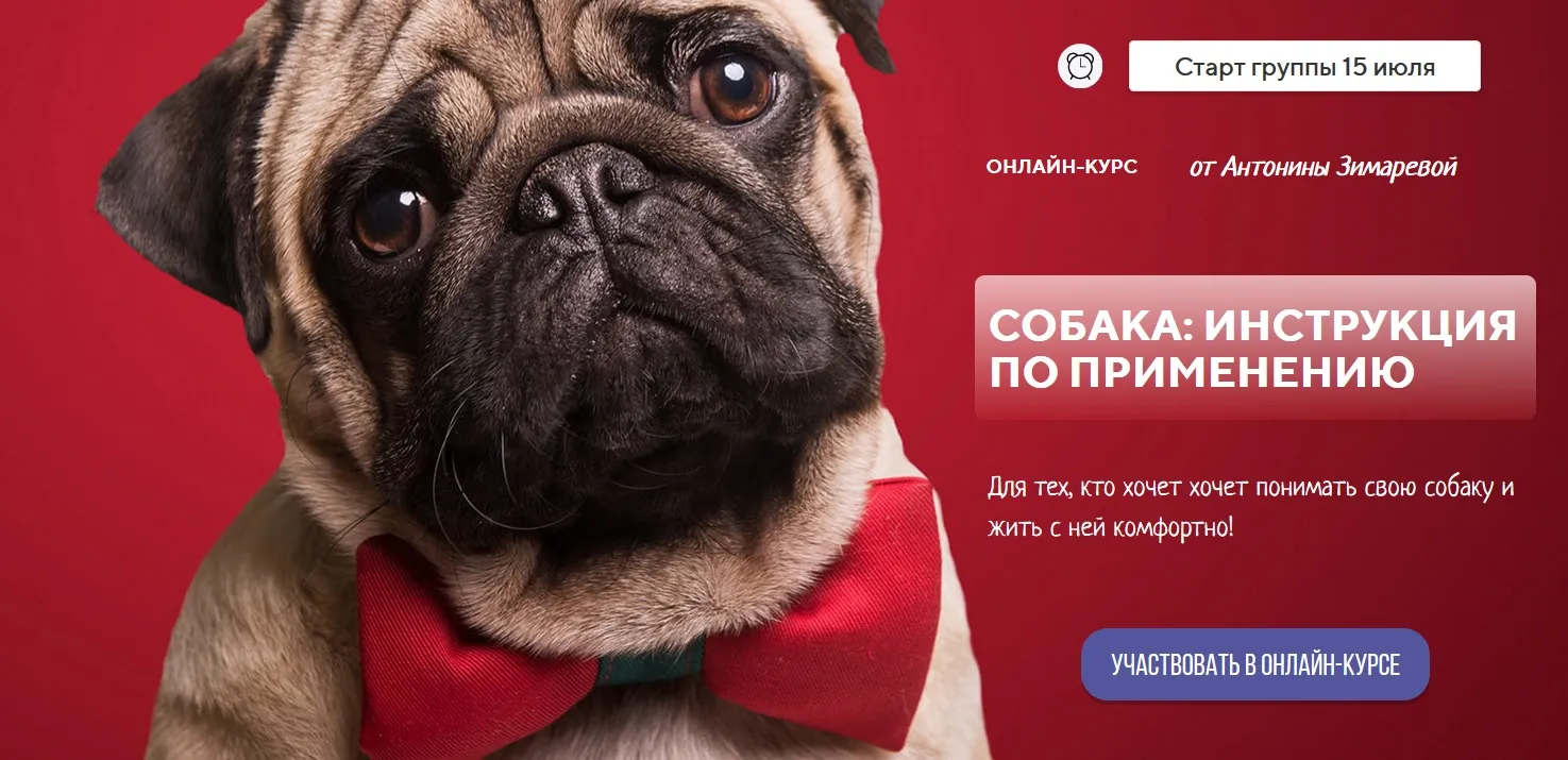 Изображение курса