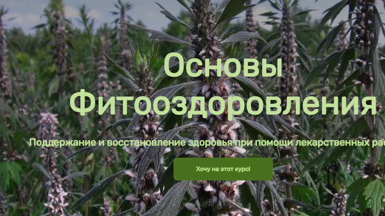 Изображение курса