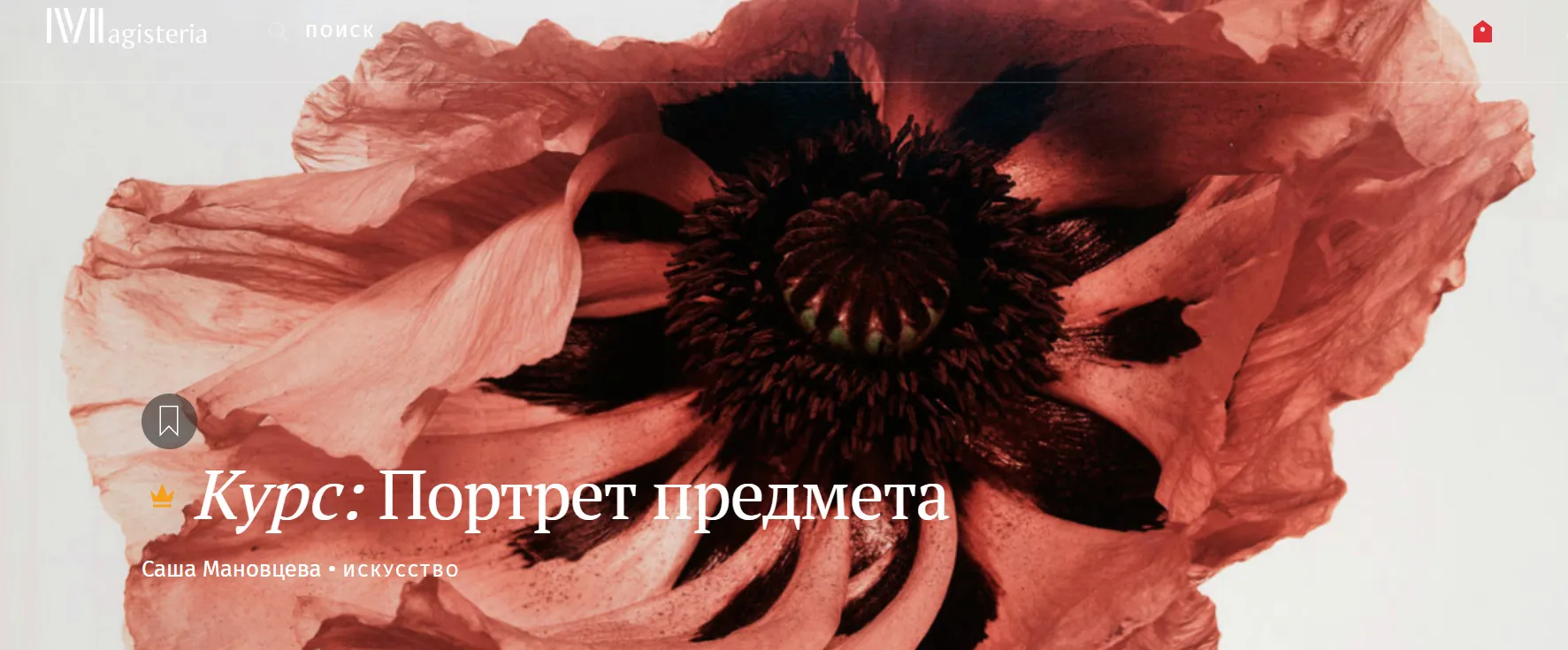 Изображение курса