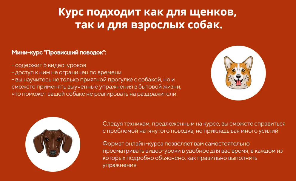 Изображение курса