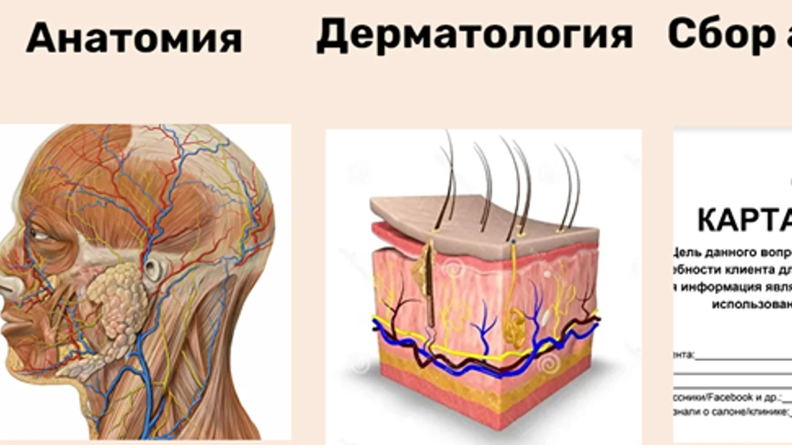 Изображение курса