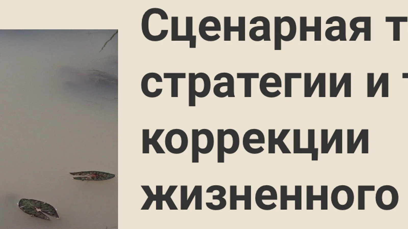 Изображение курса