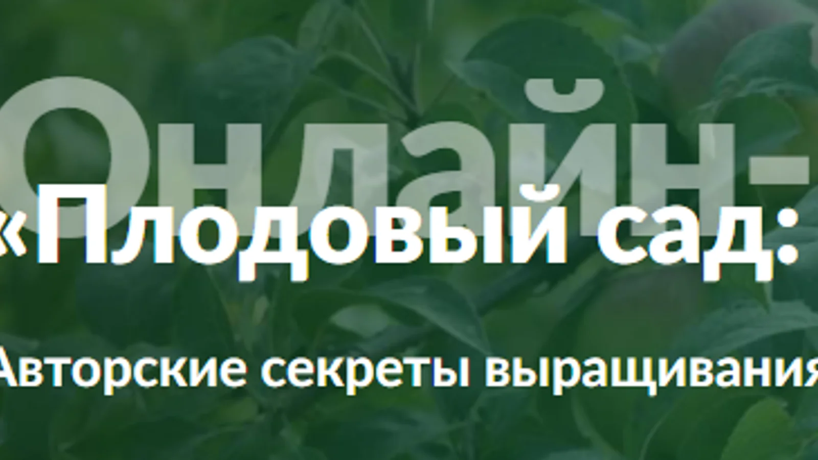 Изображение курса