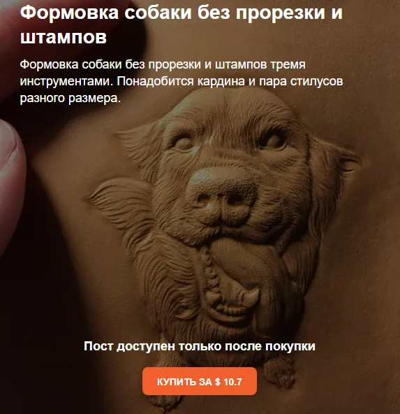 Изображение курса