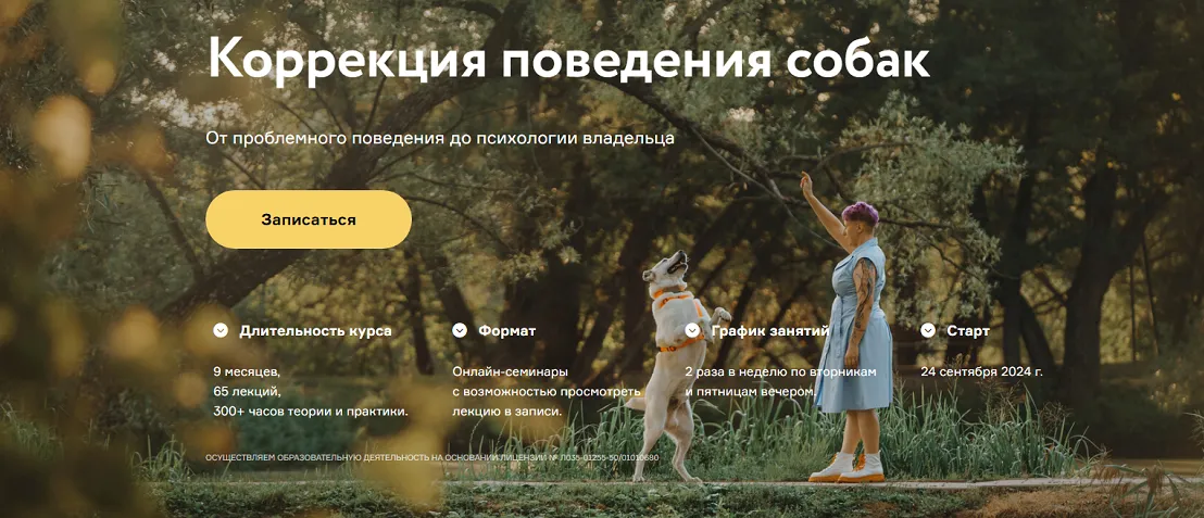 Изображение курса