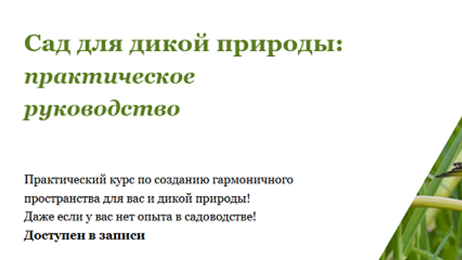 Изображение курса