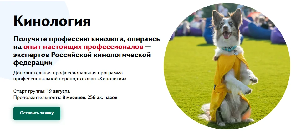 Изображение курса